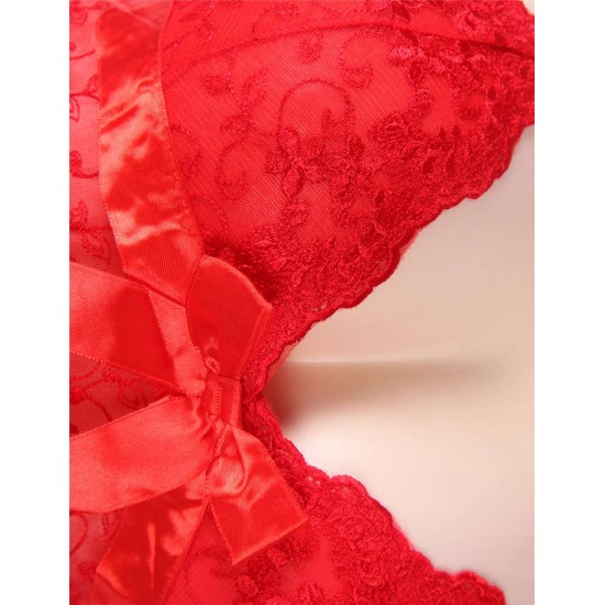 Red Sexy Draping Mesh and Lace Babydoll Set