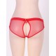 Red Netted Open Back Hipster Panty