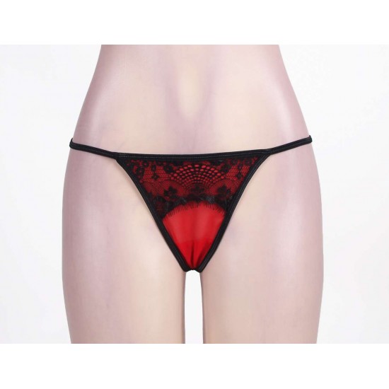 Plus Size Red Lace Garter Panty