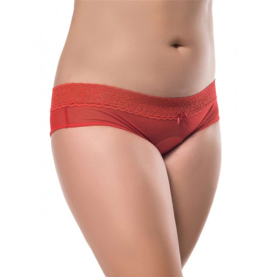 Plus Size Sexy Holiday Peek A Boo Back Mesh Crotchless Valentines Panty