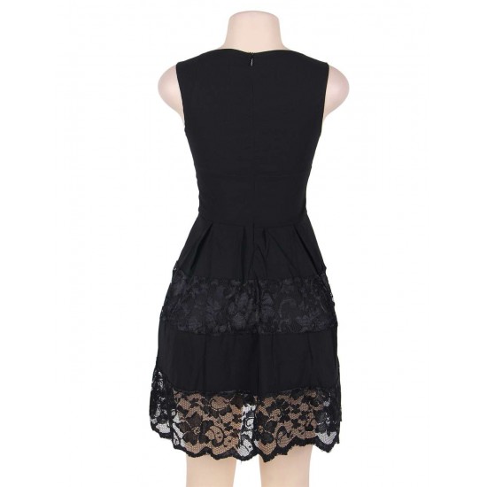 Lace Mesh Sleeveless Pleated Black Skater Dress