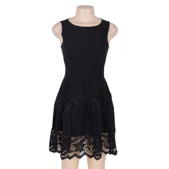 Lace Mesh Sleeveless Pleated Black Skater Dress