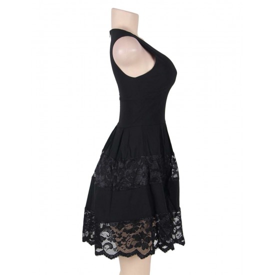 Plus Size Lace Mesh Sleeveless Pleated Black Skater Dress