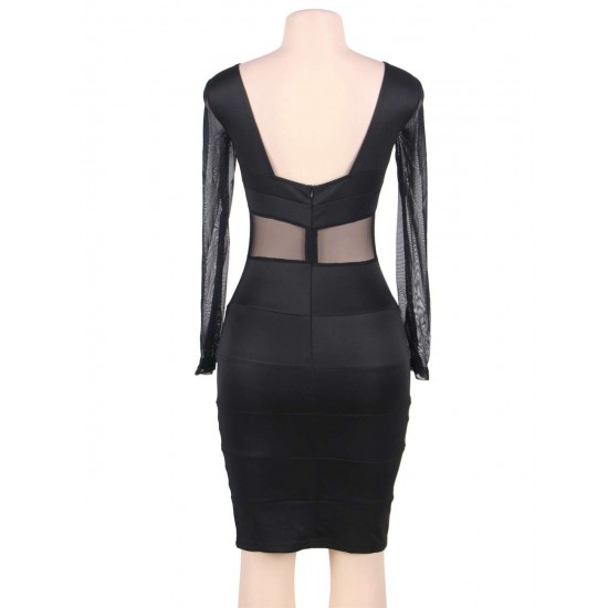 Black Mesh Sexy Bodycon Long Sleeves Dress