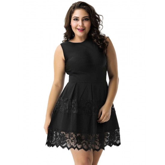 Plus Size Lace Mesh Sleeveless Pleated Black Skater Dress