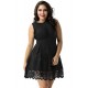 Plus Size Lace Mesh Sleeveless Pleated Black Skater Dress