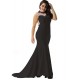 Plus Size Black Transparent Gauze Evening Dress