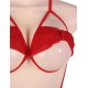 Red Lace Erotic Sexy Teddy