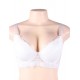 White high-quality lace comfortable T-shirt bra