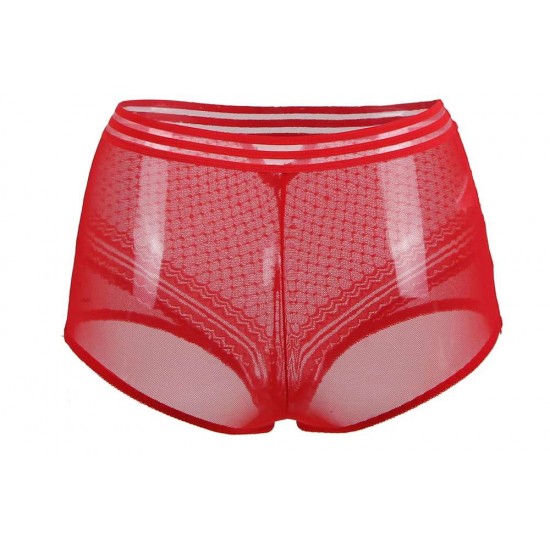 Plus Size Sexy High Waist Perspective Panty