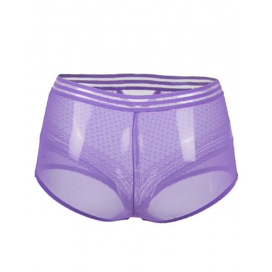 Plus Size Sexy High Waist Perspective Panty