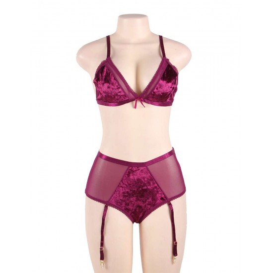 Plus Size Soft Velvet With A Sheer Mesh Trim Bra Set